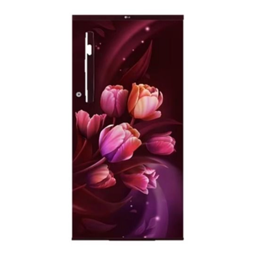 LG 1S Refrigerator GL-B199OSTB.ASTZEBN 185L