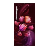 LG 1S Refrigerator GL-B199OSTB.ASTZEBN 185L