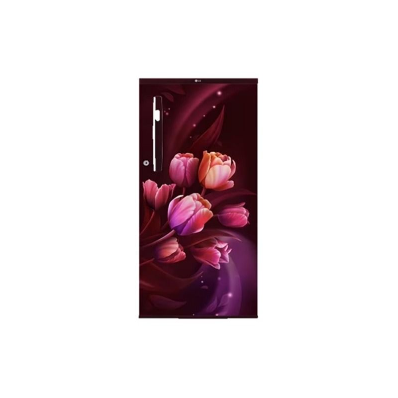 LG 1S Refrigerator GL-B199OSTB.ASTZEBN 185L