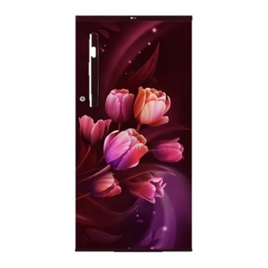 LG 1S Refrigerator GL-B199OSTB.ASTZEBN 185L